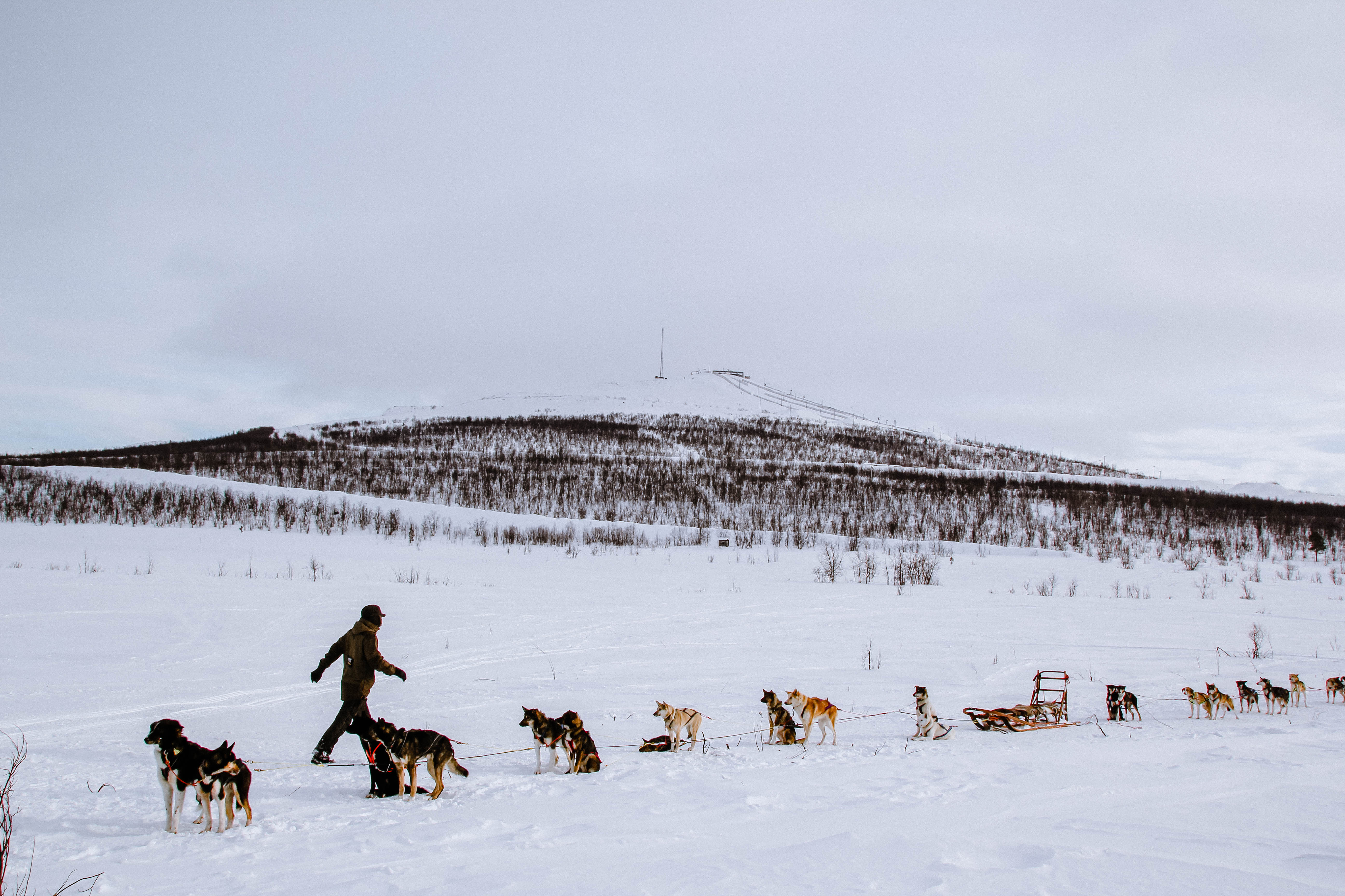 Swedish Lapland