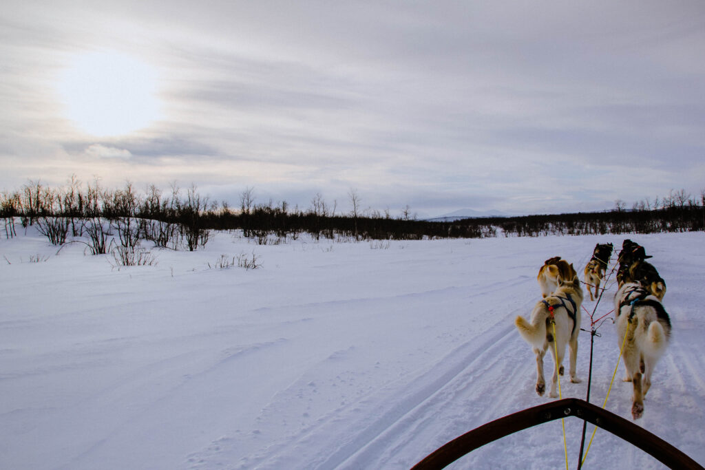 Swedish Lapland