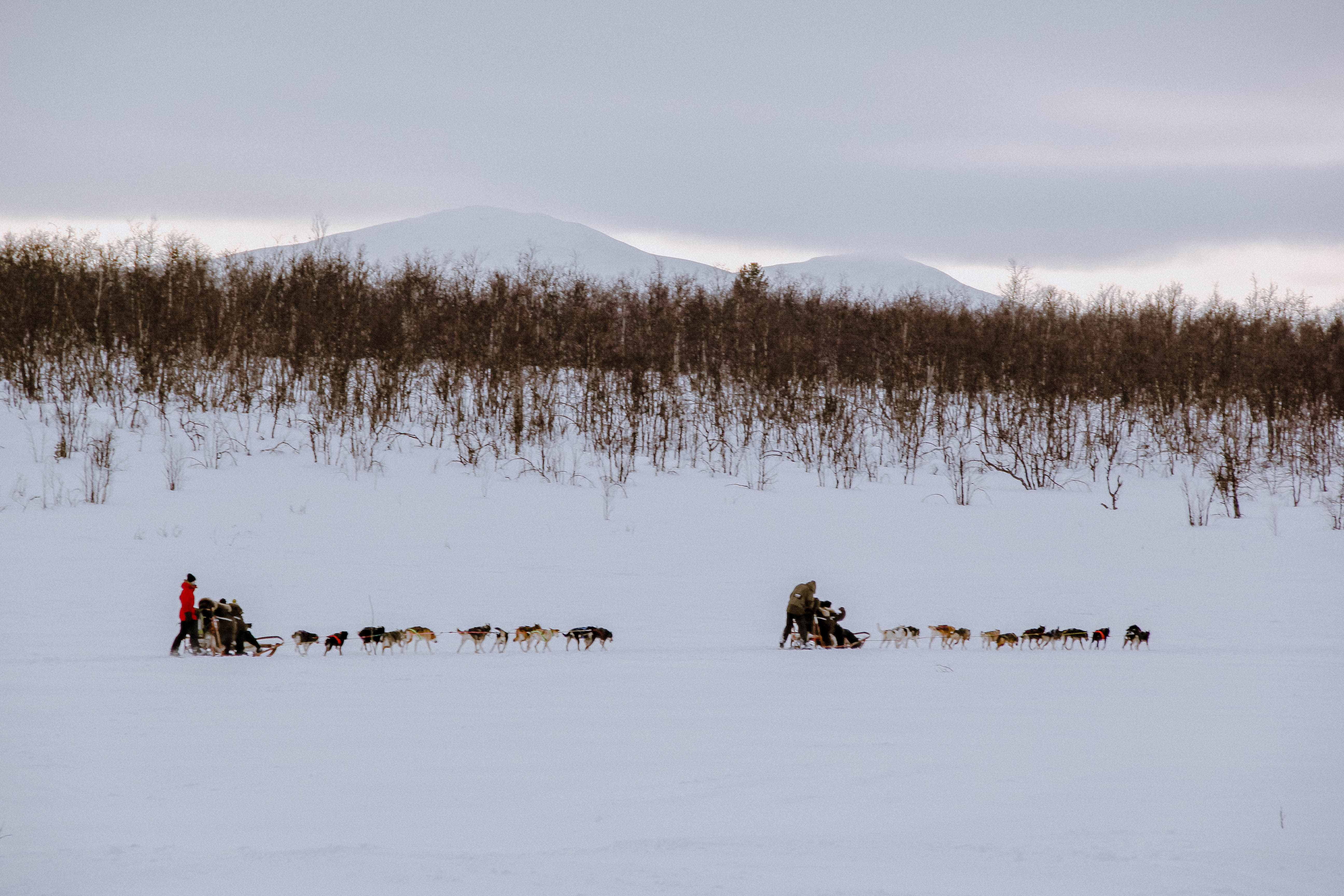 Swedish Lapland