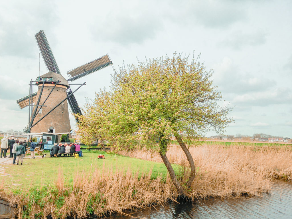 Kinderdijk windmill