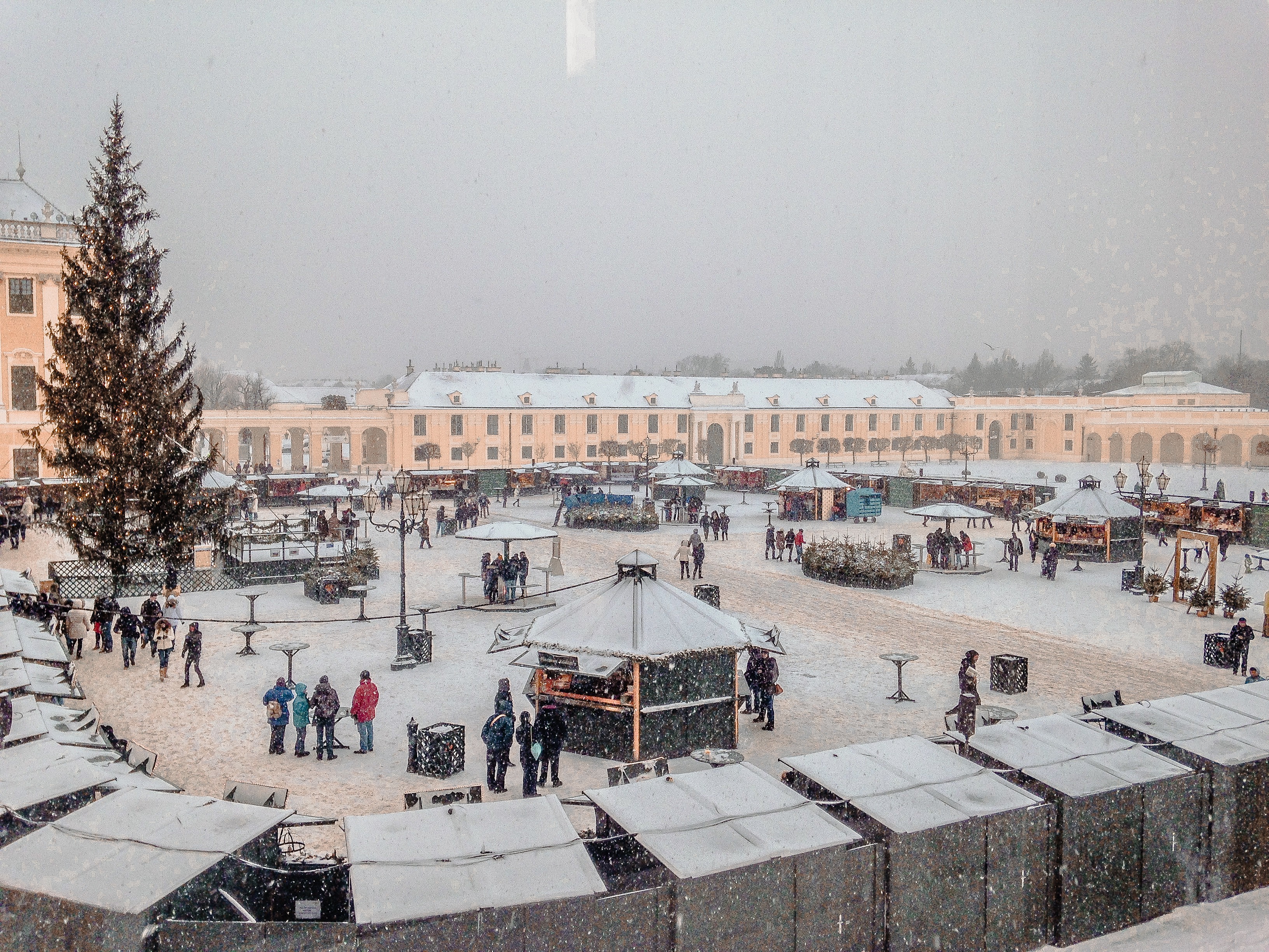 Christmas market in Vienna